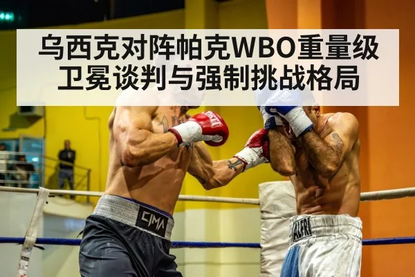 乌西克对阵帕克WBO重量级卫冕谈判与强制挑战格局